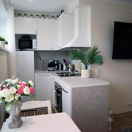 Stella's Airport - Near Airport And Bus Station - Near Tram, Bus And Train Stops - Free Wifi, Parking And Netflix - Bath - New Renovation Lejlighed *